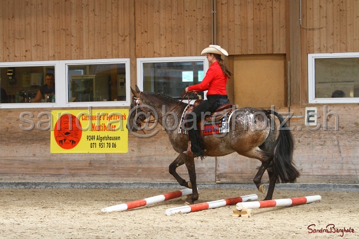 28-ApHC OT_063.jpg